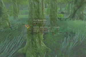 14時20分 ごろ