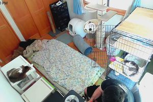 12時05分 ごろ