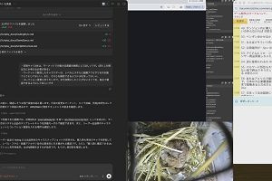 12時55分 ごろ