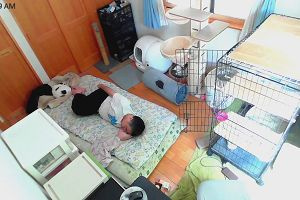 11時50分 ごろ