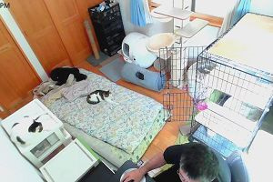 14時50分 ごろ