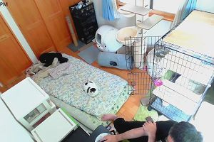 15時40分 ごろ