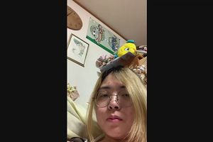 20時00分 ごろ