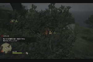 23時55分 ごろ