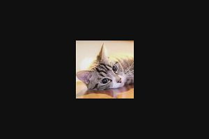 21時00分 ごろ