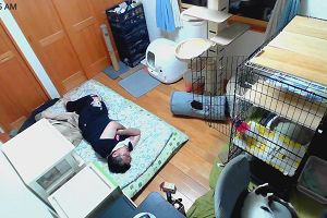 00時35分 ごろ