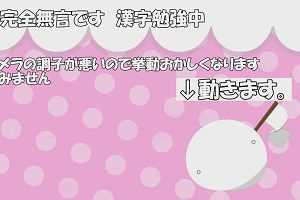 13時05分 ごろ
