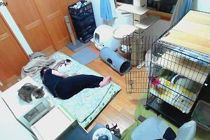 21時35分 ごろ
