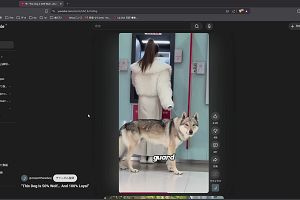 19時50分 ごろ