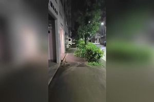 00時30分 ごろ