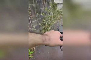 08時50分 ごろ