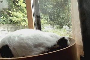 14時45分 ごろ