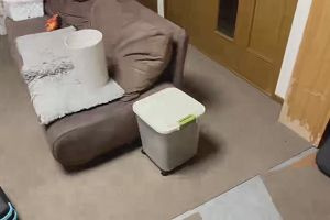 20時15分 ごろ