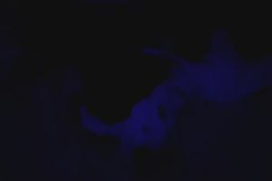 22時55分 ごろ