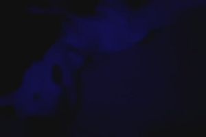 23時00分 ごろ