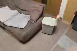 19時55分 ごろ