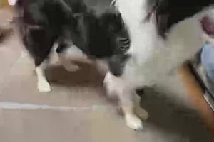 21時20分 ごろ