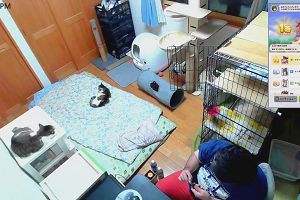 19時00分 ごろ
