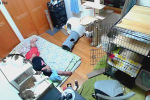 23時00分 ごろ