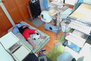 10時10分 ごろ