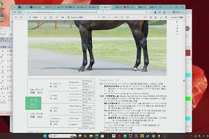 19時50分 ごろ