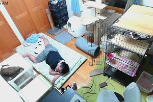 00時50分 ごろ