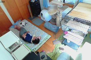 10時15分 ごろ