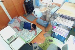 12時45分 ごろ