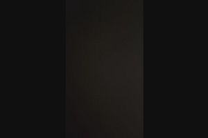 16時30分 ごろ