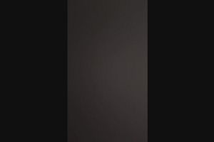16時50分 ごろ