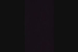 16時40分 ごろ