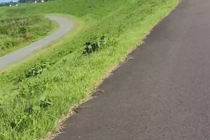 15時55分 ごろ