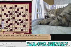20時10分 ごろ