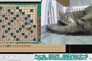 20時35分 ごろ