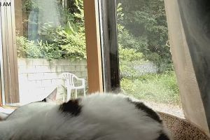 11時55分 ごろ