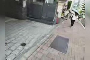 14時00分 ごろ