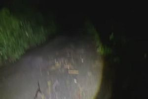 22時50分 ごろ