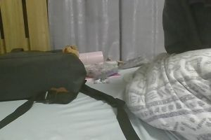 00時00分 ごろ
