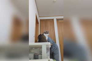 09時20分 ごろ