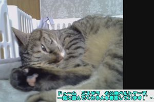 15時40分 ごろ