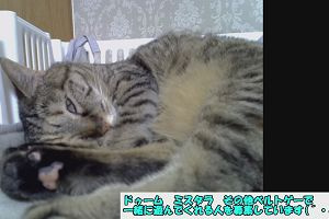 15時45分 ごろ