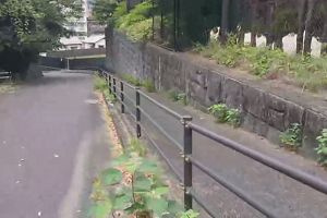 06時55分 ごろ