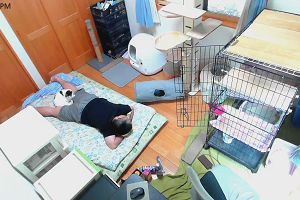 13時55分 ごろ