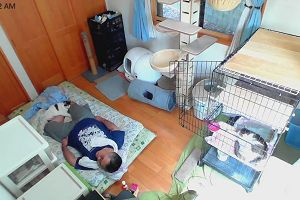 10時00分 ごろ