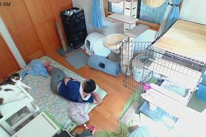 10時20分 ごろ