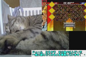 12時45分 ごろ