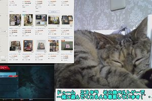 12時55分 ごろ