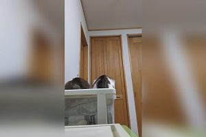19時40分 ごろ