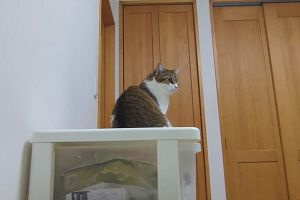 07時30分 ごろ