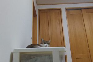 19時45分 ごろ